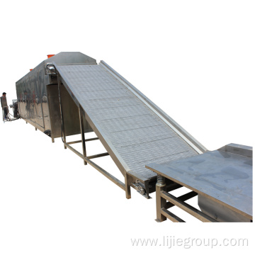 Mesh Belt Type Herbal Drying Machine